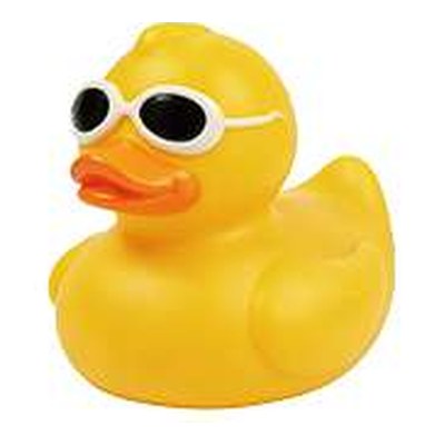 Sunglass Duck